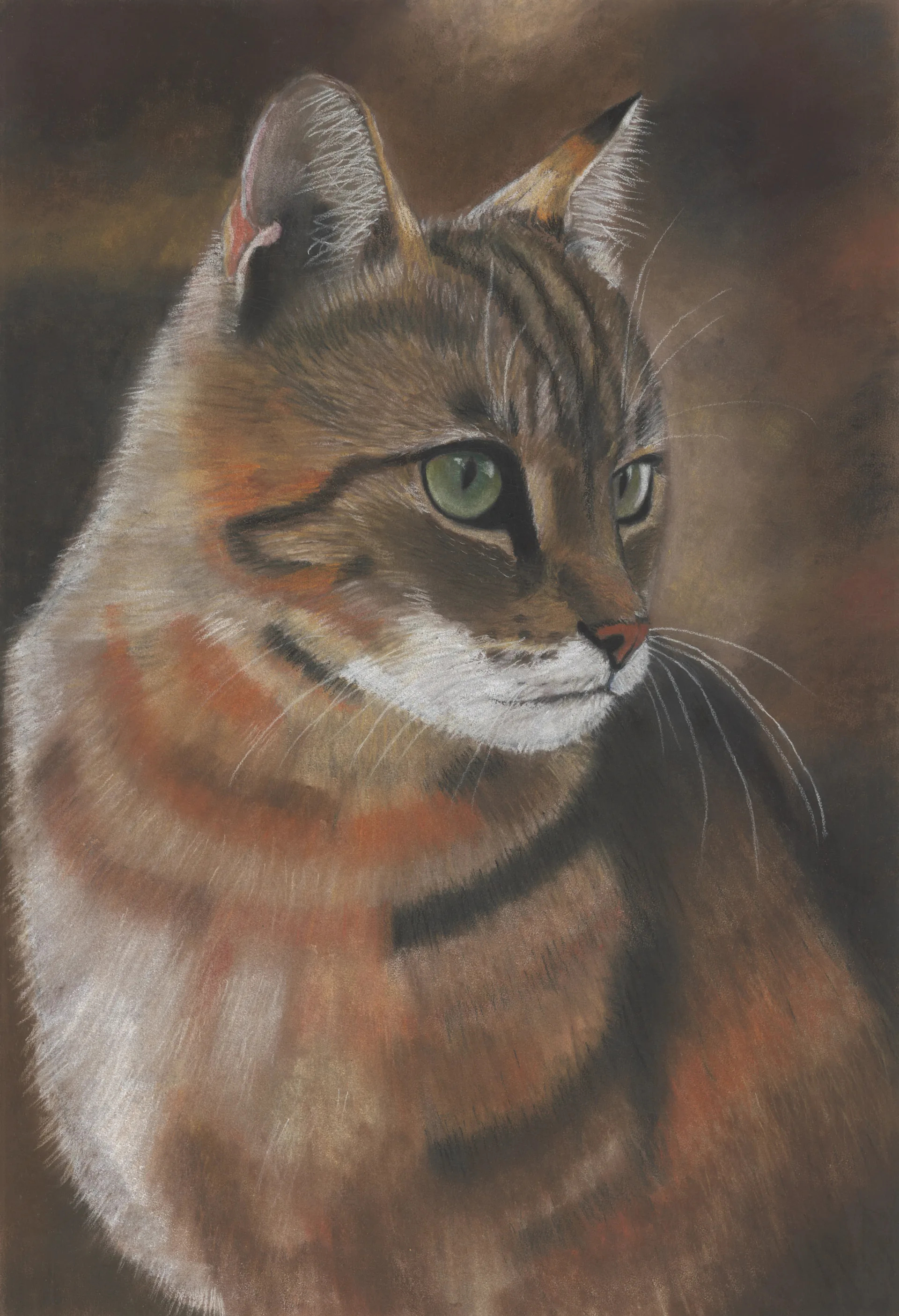 A soft pastel drawing by Annelies: a tabby cat sitting upright against a dark warm ground, head turned to one side, looking off to the right with green eyes.